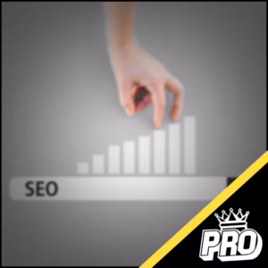 Auditoría SEO PRO